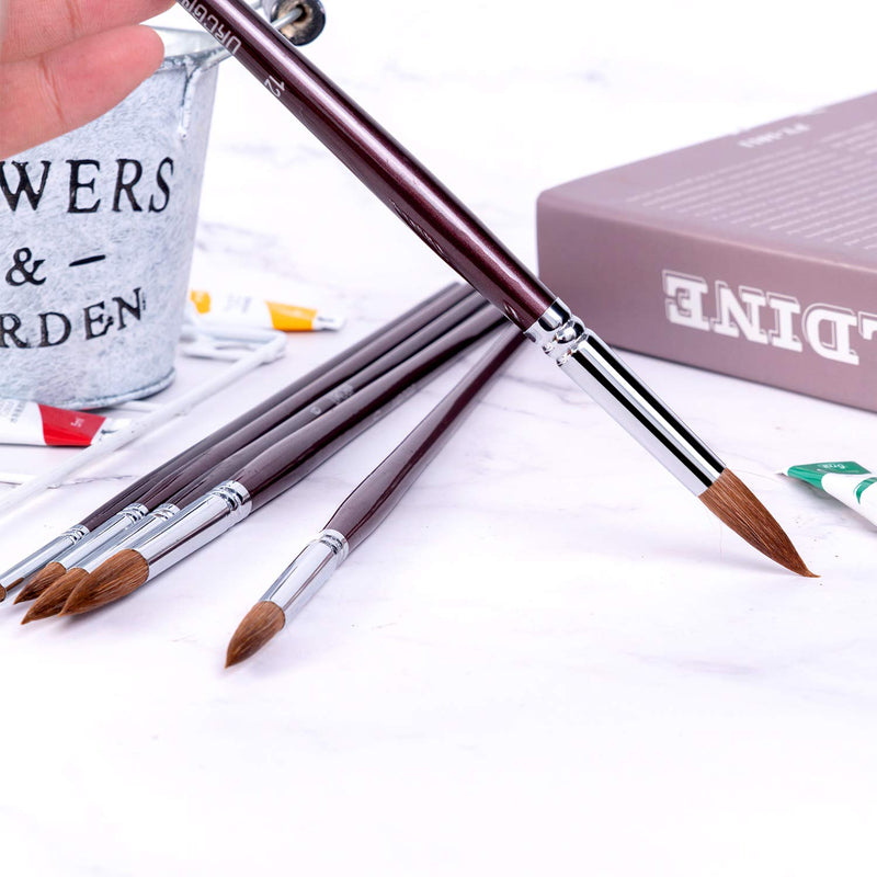 [Australia - AusPower] - Artist Paint Brushes-Superior Sable Hair Artists Round Point Tip Paint Brush Set Watercolor Acrylic Painting Supplies 