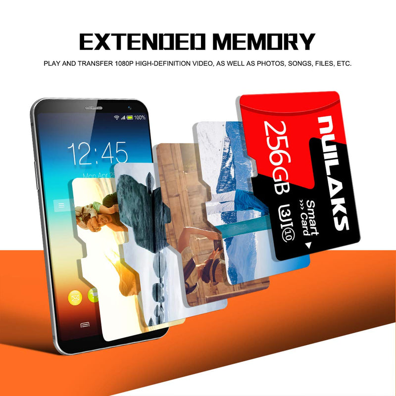 [Australia - AusPower] - 256GB Memory Card Class 10 Card Micro SD Card Compatible Computer Camera and Smartphone,TF Memory Card with SD Card Adapter 