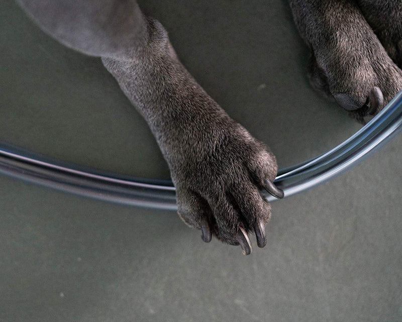 [Australia - AusPower] - PetCords Heavy Duty, Extra Strength Dog and Cat Cord Protector- Protects Your Pets from Chewing Through Insulated Cables up to 10 ft, for Tough chewers - Unscented, Odorless 