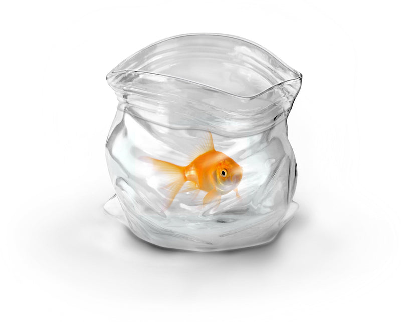 [Australia - AusPower] - Fred & Friends UNZIPPED Hand-Blown Glass Bowl 