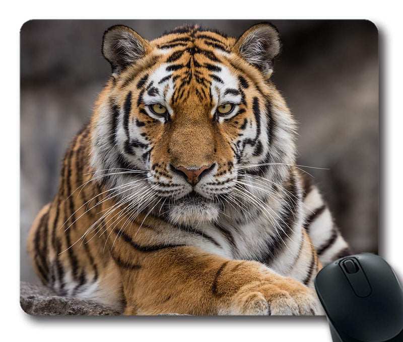 [Australia - AusPower] - Ice Rabbit Mouse Pad Siberian Tiger Gaming Personality Rectangle Mouse Pads Non-Slip Rubber Mousepad Ir-08 