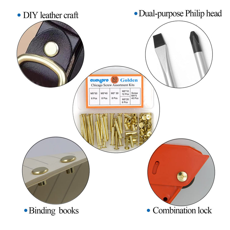 [Australia - AusPower] - NA Alloypro 80 Pcs Phillips Chicago Binding Screws M5 x 1020304050mm (Golden M5x1020304050) Golden M5x10/20/30/40/50 