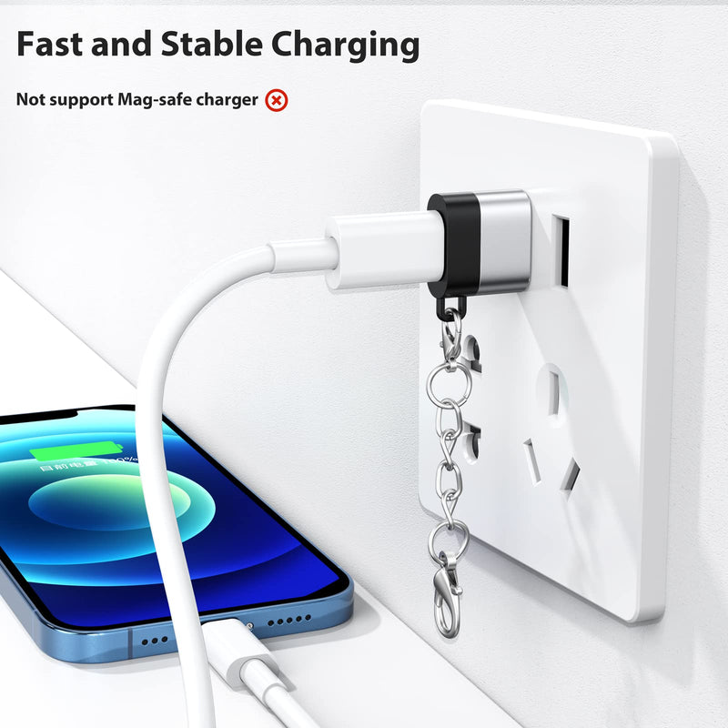 [Australia - AusPower] - USB C Female to USB Male Adapter 2 Pack, USB A Male to USB C Female Cable Converter with Keychain, USBC Type C Connector Charge & Data Sync for Laptop Car Charger Headphone Computer Hub etc. Silver+Black 