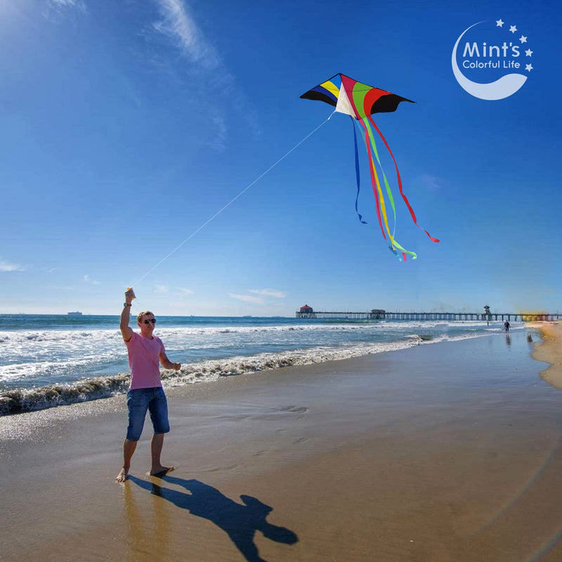 [Australia - AusPower] - Mint's Colorful Life Delta Kite for Kids & Adults, Extremely Easy to Fly Kite (Flying Rainbow) 