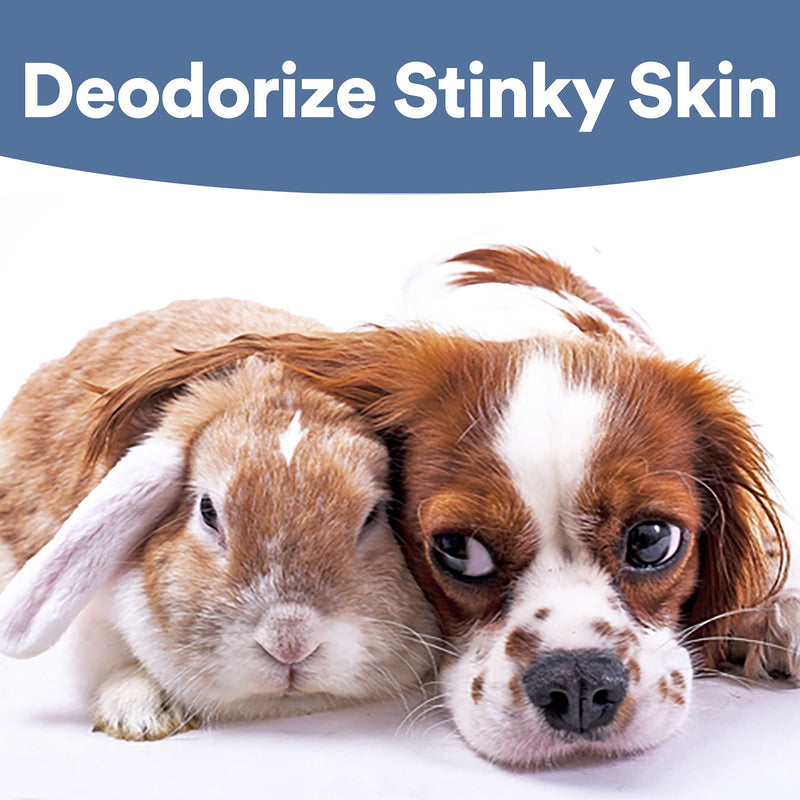 [Australia - AusPower] - SkinSmart Antimicrobial Skin and Wound Care for Pets, Removes Bacteria to Promote Healing and Relieves Itch, 8 Ounce Spray Bottle 