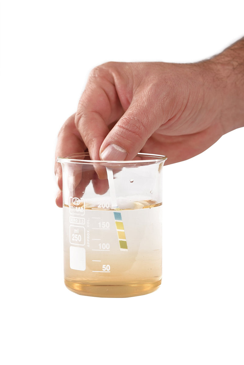 [Australia - AusPower] - pH Strips, 0-14 Scale, for Testing Water pH, Made of Premium Litmus Paper (100 Strips) 