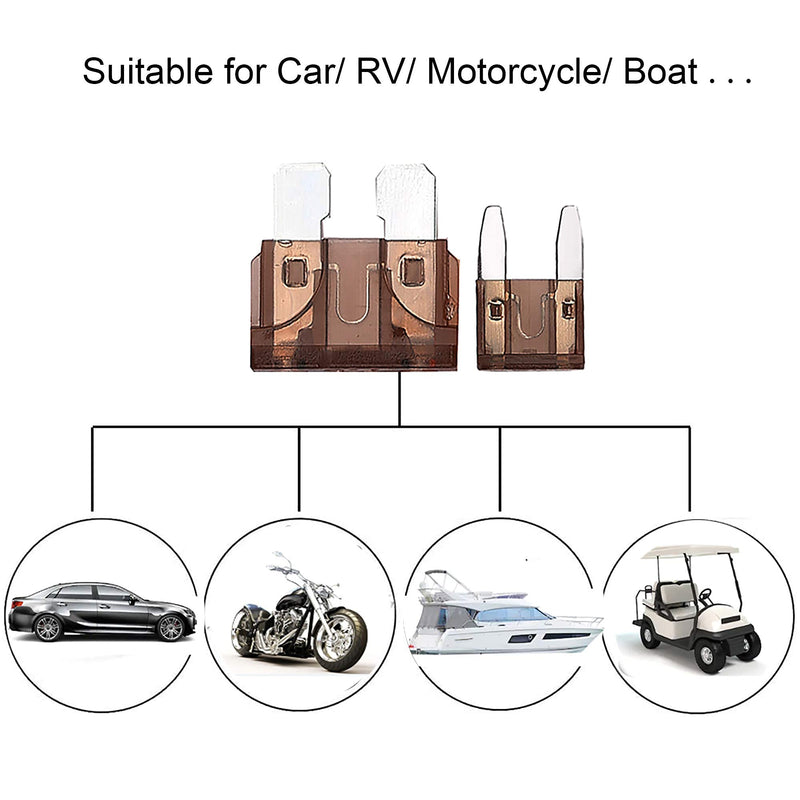 [Australia - AusPower] - CrocSee 250 Pieces - Car Fuses Assortment Kit, Blade-Type Automotive Fuses - Standard & Mini Size (2A/3A/5A/7.5A/10A/15A/ 20A/25A/30A/35A/40A), Replacement Fuses for Car/RV/Truck/Motorcycle/Boat 