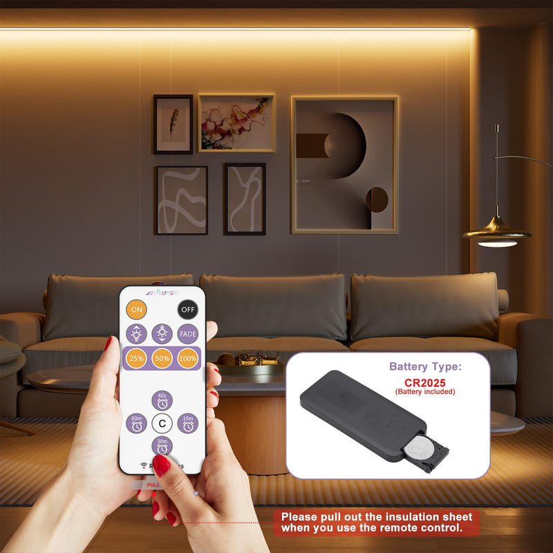 [Australia - AusPower] - MIWISE RF Remote Dimmer for Single Color LED Strip Lights,13-Key Wireless Remote and in-line Controller DC 12-24V for 3528/2835/5050/COB LED Tape Lights,Timer Function/One-to-Many Control 