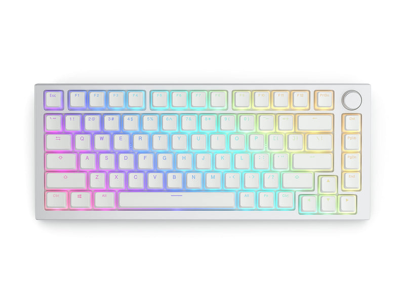 [Australia - AusPower] - Glorious Aura V2 (White) - PBT Pudding Keycaps for Mechanical Keyboards - ANSI (US), ISO Compatible - Supports Full Size, TKL, 75%, 60% Layouts Aura V2 (White) 