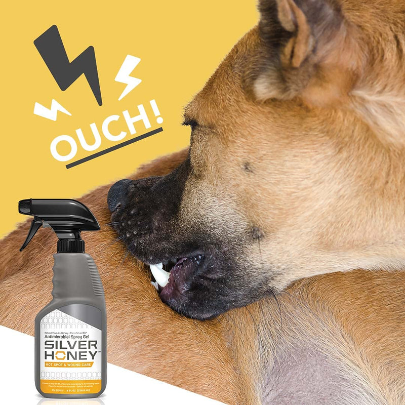 [Australia - AusPower] - Absorbine Silver Honey Hot Spot & Wound Care Spray Gel, Manuka Honey & MicroSilver BG, Medicated Skin Care & Itch Relief for Dogs, Cats, Small Animals, 8oz Bottle 