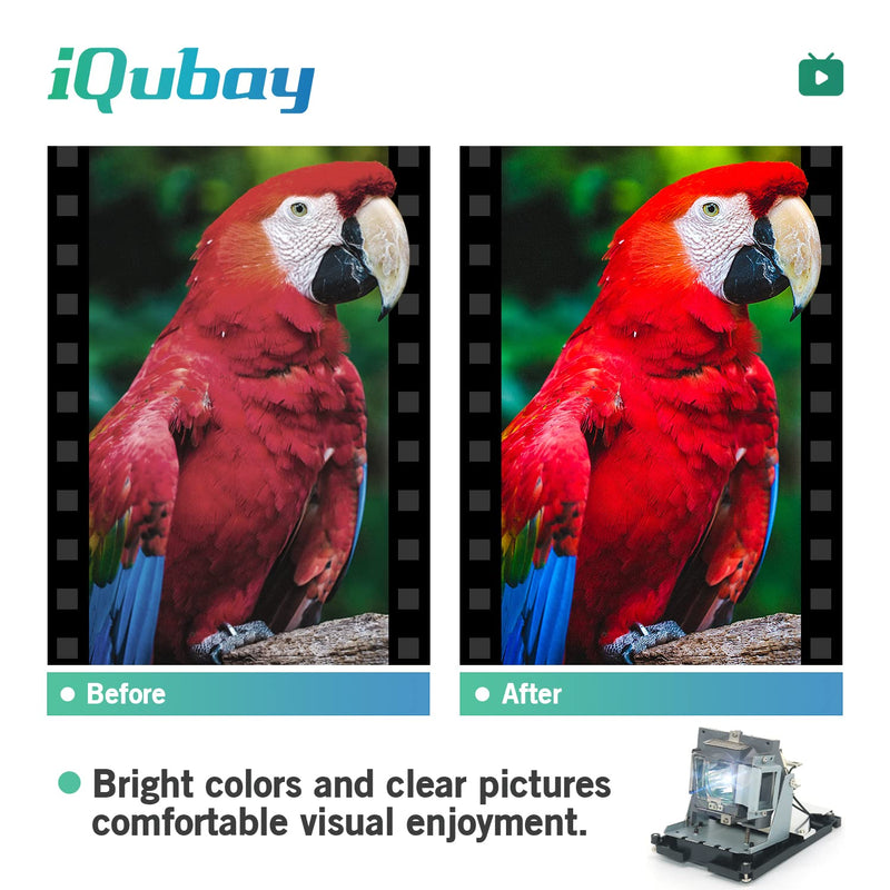 [Australia - AusPower] - iQubay BL-FU310B/5811118436-SVV Replacement Projector Lamp for OPTOMA EH500 X600 DH1014 DH1017 BR561 OPH4600 OPX5035 OPX6035 HC1200 BENQ MH740 BENQ SH915 BENQ SX912 