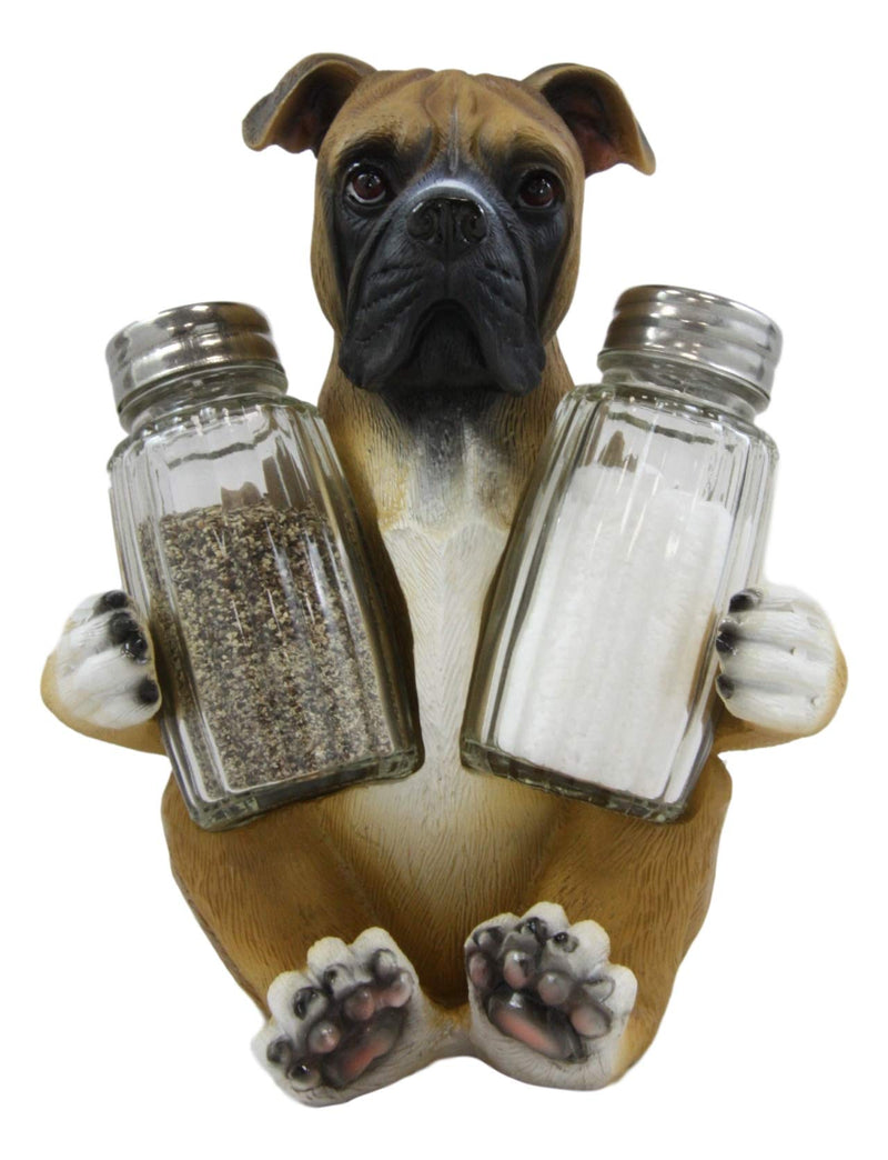 [Australia - AusPower] - Ebros Gift Realistic Fawn Boxer Puppy Dog Hugging Glass Salt Pepper Shakers Holder Decorative Statue 6.25"High Resin Dogs Boxers Memorial Pets Pet Pal Animal Home Kitchen Spice Organizer Figurine 