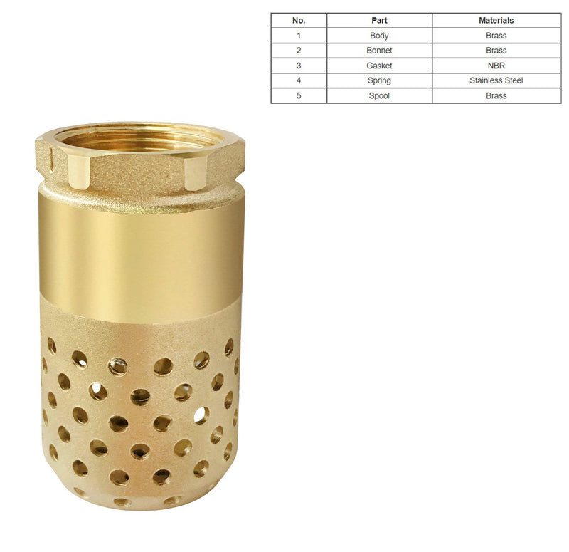 [Australia - AusPower] - Brass Foot Valve 3/4 inch NPT Heavy Duty Spring Mesh Check Valve Female Connection One Way Foot Valve Backflow Preventer with Holes Strainer Filter for Well Jet Pumps Foot Valv (3/4'' NPT) 3/4'' NPT 