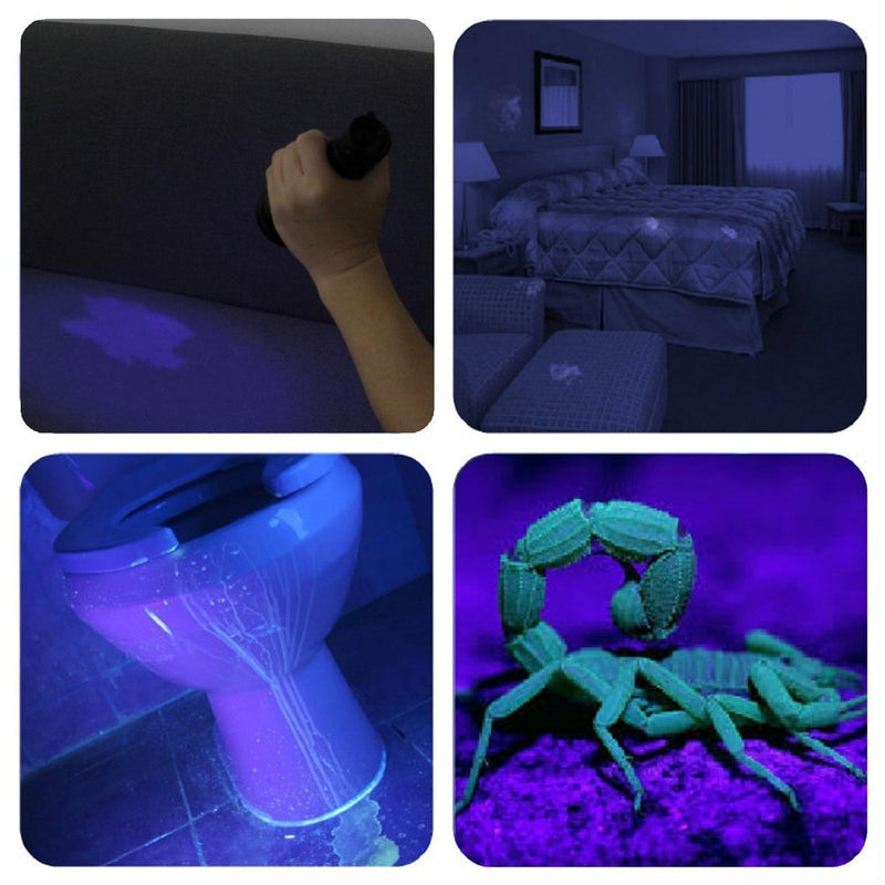 [Australia - AusPower] - UV Flashlight Black Light , Vansky 51 LED Blacklight Pet Urine Detector for Dog/Cat Urine,Dry Stains,Bed Bug, Matching with Pet Odor Eliminator 