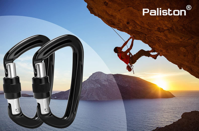 [Australia - AusPower] - Paliston Locking Carabiner - 25kN 5600lb Climbing Carabiner Screw Gate D Shape Carabiner A-Black Pack of 2 