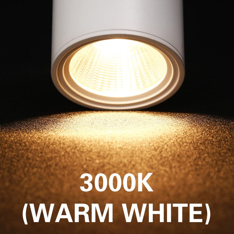 [Australia - AusPower] - Lamadri 12W LED Track Light Heads,Dimmable H Type Track Lighting Heads 3000K Warm White for Kitchen Accent,Wall,Art Exhibition, Lighting,60Â°Flicker Free CRI90+ 2 Pack (White) 