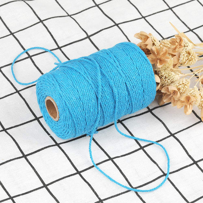[Australia - AusPower] - 200M/656 Feet Cotton String,Lake Blue String,Cotton Cord Craft String Bakers Twine for DIY Crafts and Gift Wrapping-2mm 2mm x 656 ft Lake Blue 