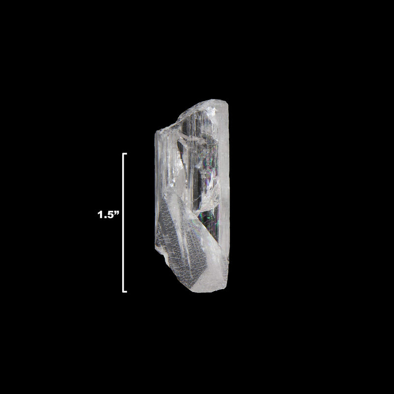 [Australia - AusPower] - Starborn Natural Danburite Crystals Loose Danburite XL 