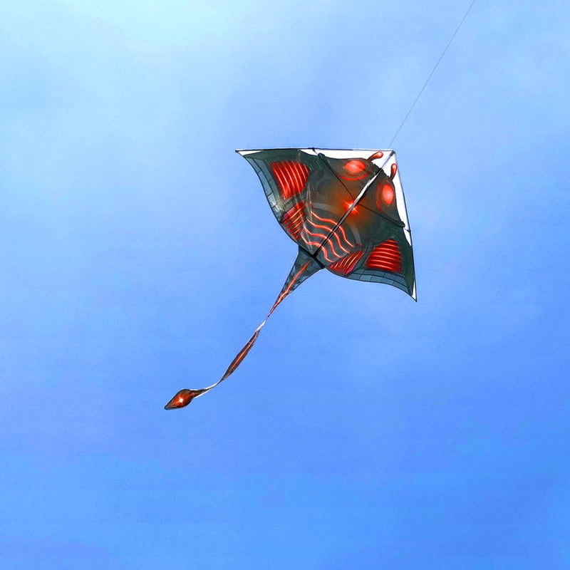 [Australia - AusPower] - Mint's Colorful Life Devil Fish Kite for Kids Adults，Easy to Fly Delta Kite Single Line Large, Kite Handle Include 