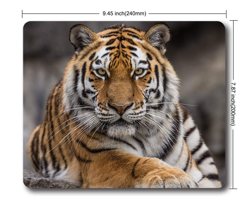[Australia - AusPower] - Ice Rabbit Mouse Pad Siberian Tiger Gaming Personality Rectangle Mouse Pads Non-Slip Rubber Mousepad Ir-08 