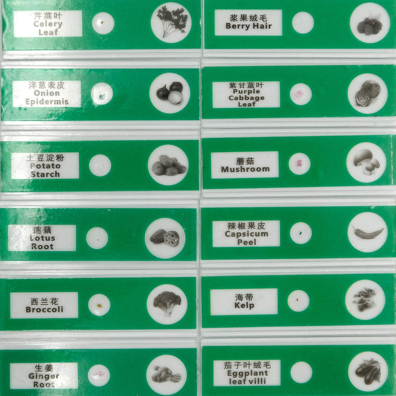 [Australia - AusPower] - QIXINSTAR 48pcs Prepared Plastic Microscope Slides Biological Specimen with 4 Boxes for Children Student Enlighten Education 