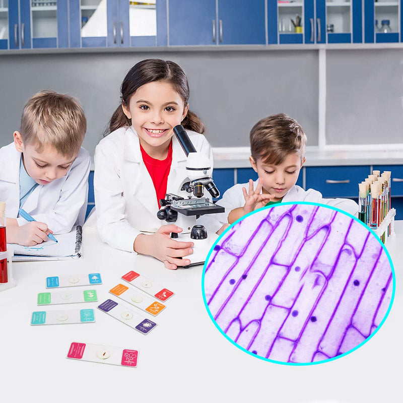 [Australia - AusPower] - Bysameyee 35PCS Prepared Microscope Slides with 7 Types Specimens, Insect/Plant Glass Sample Slide for Kids Adults Family Preschool Education Scientific Enlightenment 