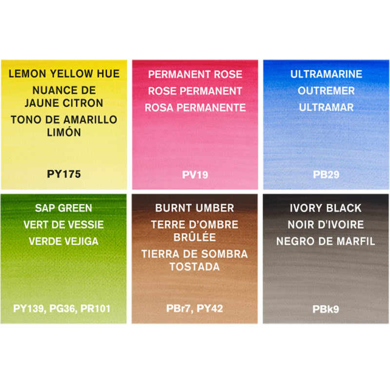 [Australia - AusPower] - Winsor & Newton Cotman Water Colour Paint, Set of 6, 8ml Tubes 0.27 Fl Oz (Pack of 8) 