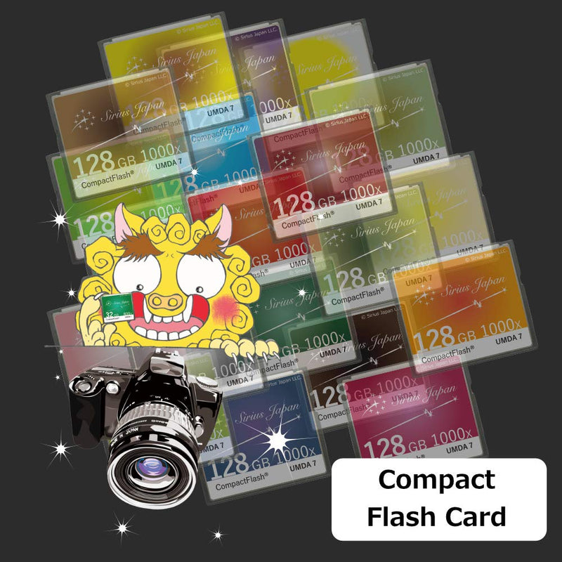 [Australia - AusPower] - Sirius CF Card 16GB 【Color：Carrot】 Like Cool Cafe Color Variation (Over 80 Models) Compact Flash Card 1000X ESC10-16Gcr 