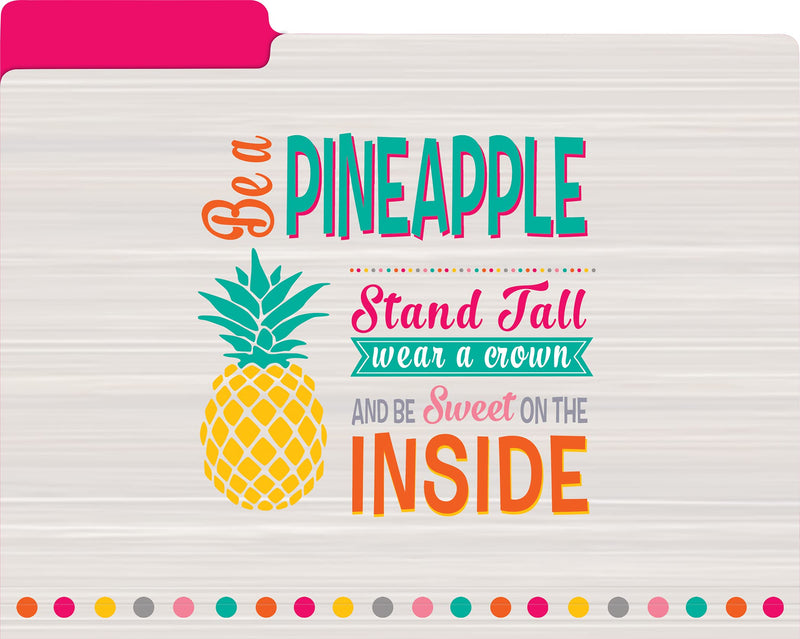 [Australia - AusPower] - Teacher Created Resources Tropical Punch File Folders (TCR8538) 