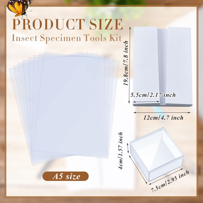 [Australia - AusPower] - 14 Pieces Insect Specimen Tools Kit Insect Display Case Box with Clear Top 8 Sheets Thin Tracing Paper Butterfly Mounting EVA Foam Pinning Board Pins 3 Pcs Insect Specimen Tools for Bugs Collection 