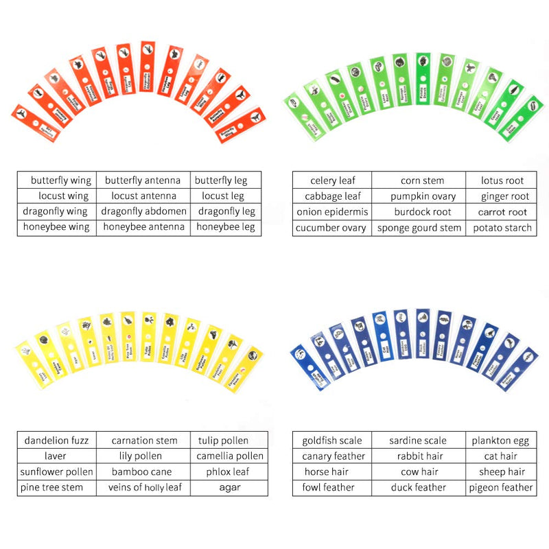 [Australia - AusPower] - 48pcs Kids Prepared Microscope Slides of Animals Insects Plants Flowers Specimens for Kids’ Microscopes 