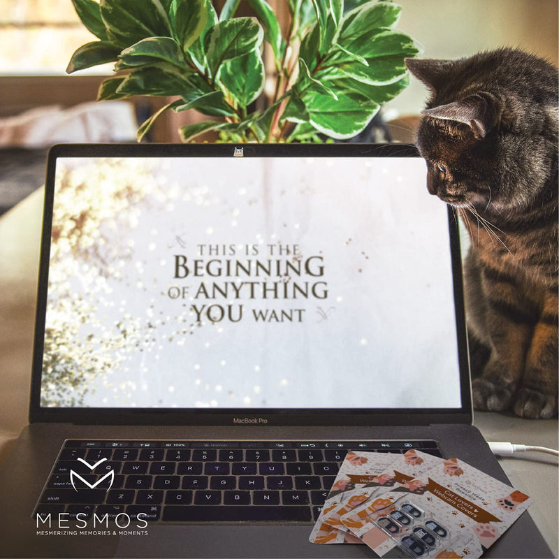 [Australia - AusPower] - MESMOS Laptop Camera Cover Slide Cute - Webcam Cover Slide Cute - Phone Camera Blocker - Web Cam Privacy Cover. Fits iMac, iPad, iPhone, Computer, MacBook Pro, MacBook Air, Surface Pro (Cats) Cats 
