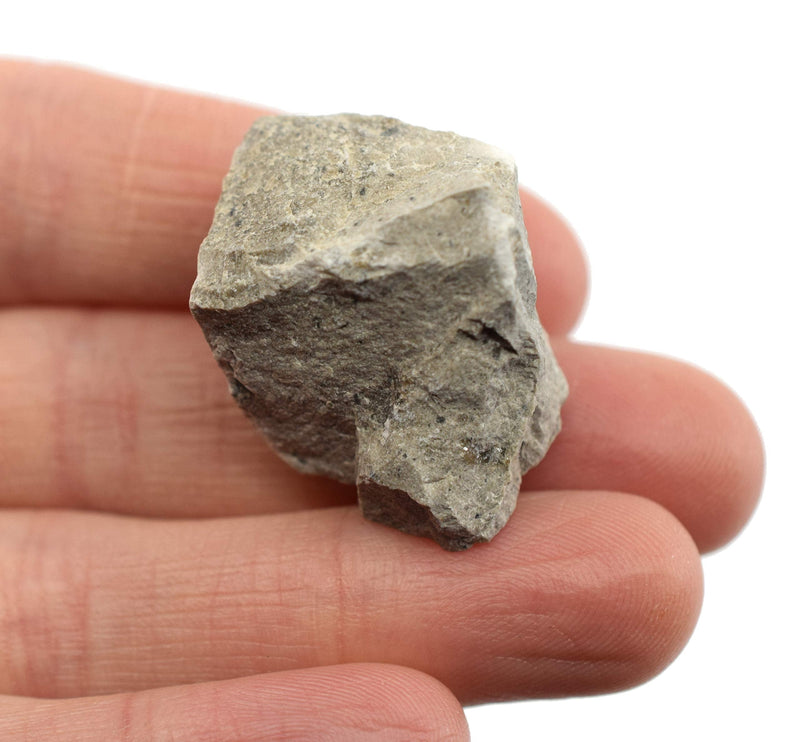 [Australia - AusPower] - 6PK Raw Gray Limestone, Sedimentary Rock Specimens - Approx. 1" - Geologist Selected & Hand Processed - Great for Science Classrooms - Class Pack - Eisco Labs 6 