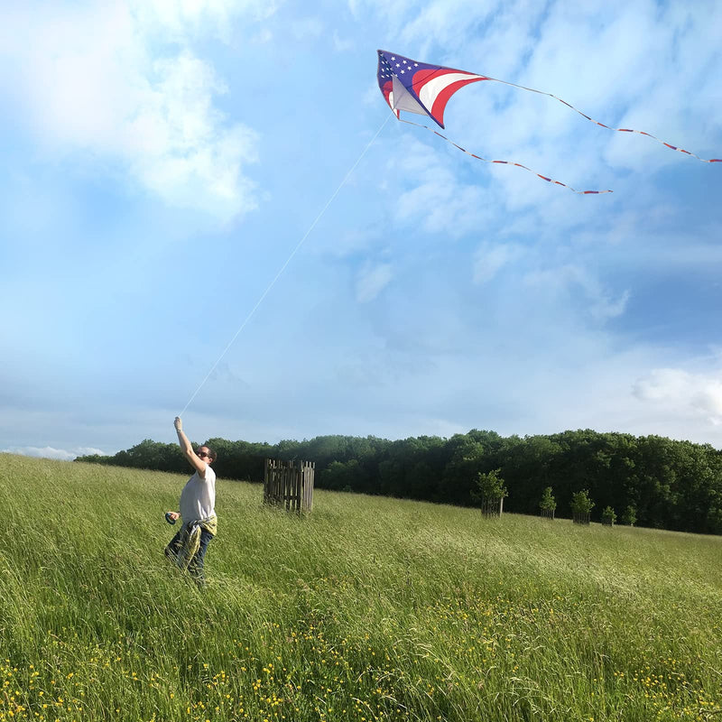 [Australia - AusPower] - Mint's Colorful Life Delta Kite for Kids & Adults, Extremely Easy to Fly Kite, Best Kite for Beginner 