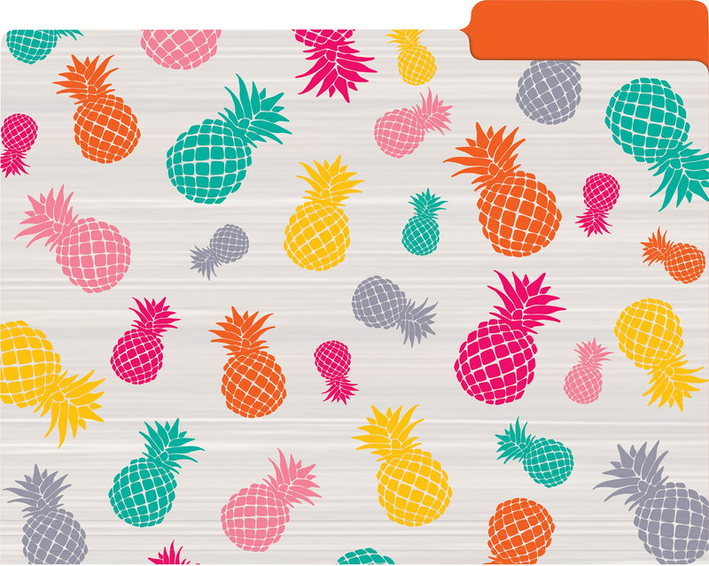 [Australia - AusPower] - Teacher Created Resources Tropical Punch File Folders (TCR8538) 
