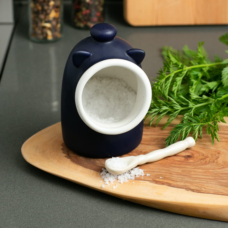 [Australia - AusPower] - RSVP International Stoneware Salt Pig and Spoon Set, Wide Mouth, Dishwasher Safe, 3x3.25x5", Blue 