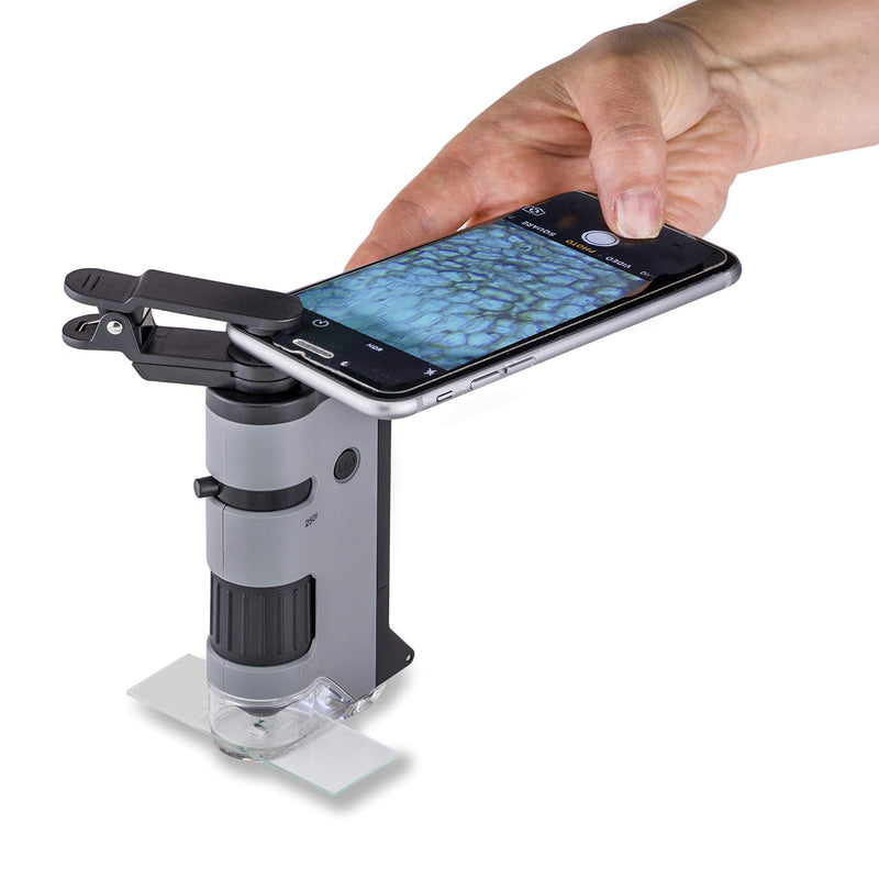 [Australia - AusPower] - Carson MicroFlip 100x-250x LED and UV Lighted Pocket Microscope with Flip Down Slide Base and Smartphone Digiscoping Clip (MP-250) Bundle with Slide Sets 