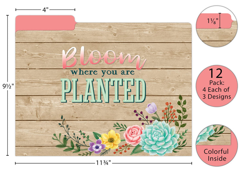 [Australia - AusPower] - Teacher Created Resources Rustic Bloom File Folders (TCR8539) 