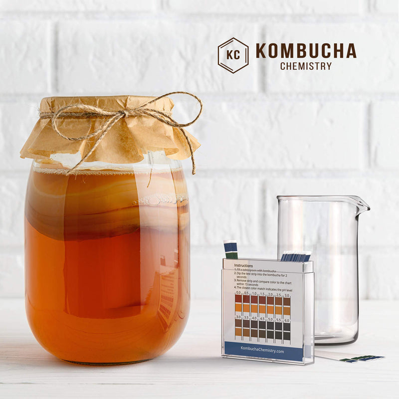[Australia - AusPower] - pH Test Strips for Kombucha Brewing 0-6 (0.5 Intervals) 100pc Kit 