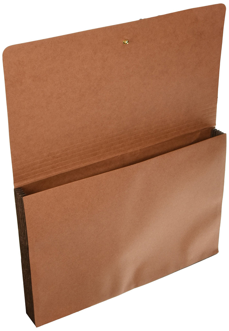 [Australia - AusPower] - Globe-Weis Extra Wide Tyvek Expansion Wallet (GLW73189) 