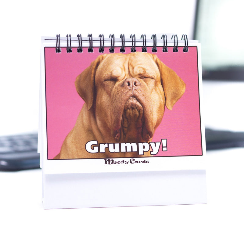 [Australia - AusPower] - Office Gift for Dog Lovers - Moodycards! Make Everyone Laugh with These Adorable and Hilarious Dog Memes - Let The Dogs Tell Everyone How You Feel! A Terrific Office Gift! 25 Different Moods 