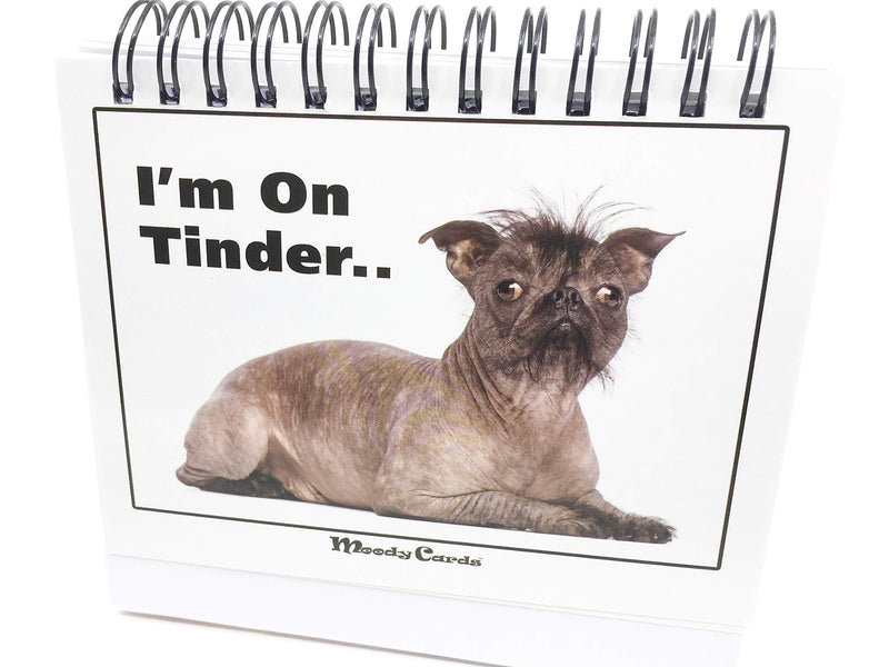 [Australia - AusPower] - Office Gift for Dog Lovers - Moodycards! Make Everyone Laugh with These Adorable and Hilarious Dog Memes - Let The Dogs Tell Everyone How You Feel! A Terrific Office Gift! 25 Different Moods 