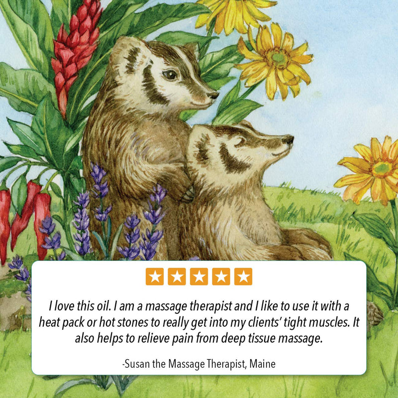 [Australia - AusPower] - Badger - Deep Tissue Massage Oil, Ginger with Arnica & Cayenne, Certified Organic Massage Oil, Warm & Soothe, Massage Oil for Sore Muscles, Essential Oils, 4 oz 