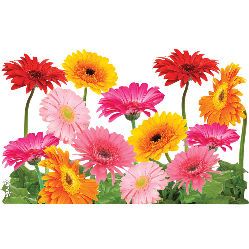 [Australia - AusPower] - Tervis Gerbera Daisies Tumbler with Wrap and Fuchsia Lid 16oz, Clear 