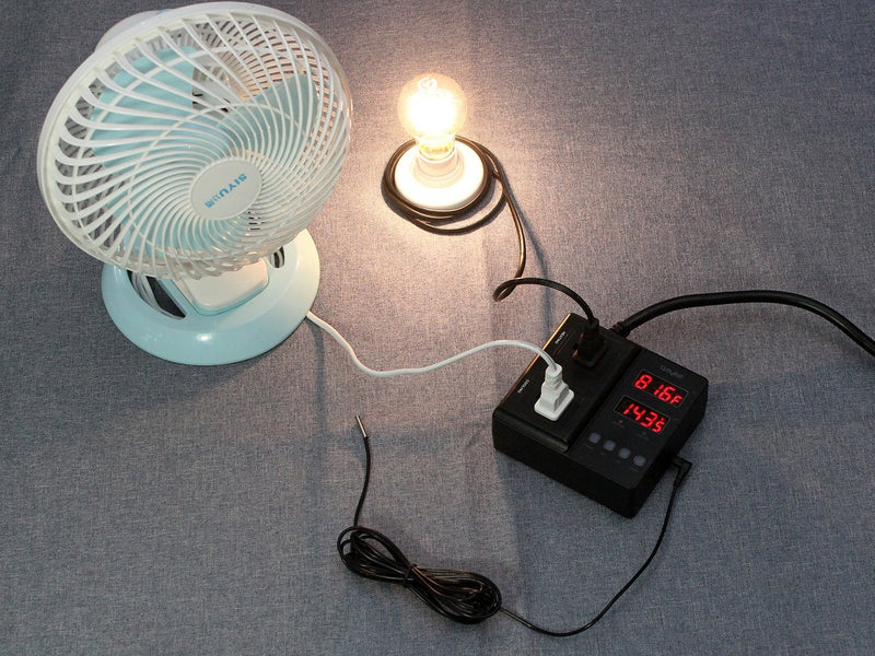 [Australia - AusPower] - bayite Temperature Controller 1650W 15A BTC211 Dual Digital Outlet Thermostat Plug, Pre-Wired, 2 Stage Heating and Cooling Mode, 110V - 240V, Fermentation BBQ Reptile Aquarium 