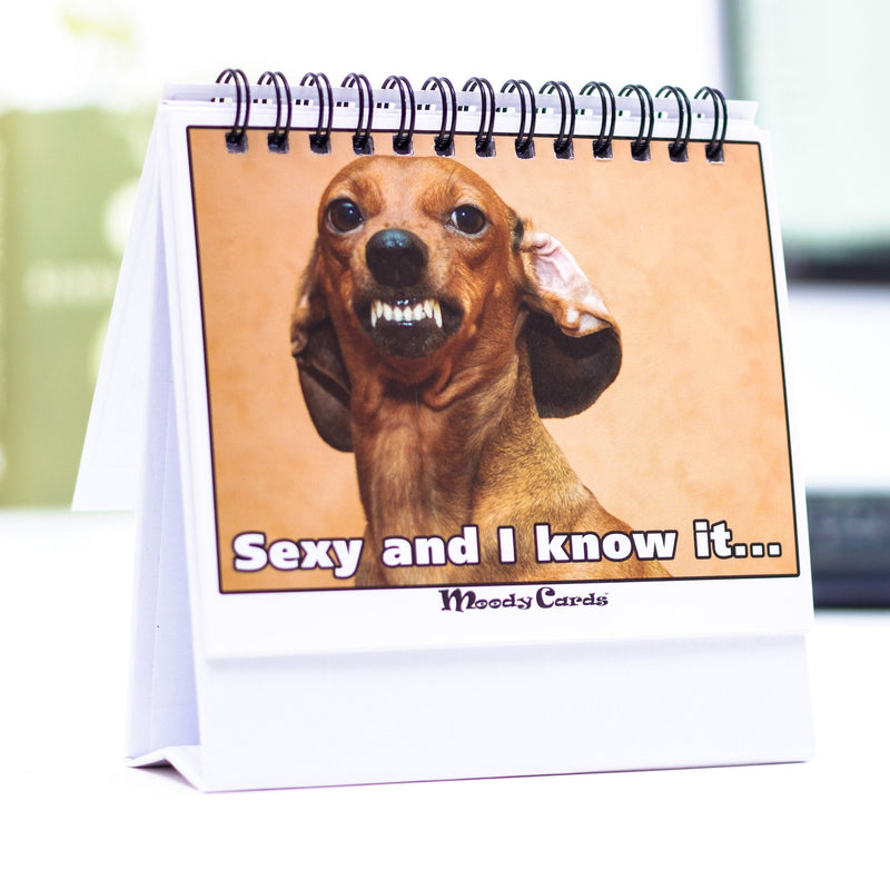 [Australia - AusPower] - Office Gift for Dog Lovers - Moodycards! Make Everyone Laugh with These Adorable and Hilarious Dog Memes - Let The Dogs Tell Everyone How You Feel! A Terrific Office Gift! 25 Different Moods 