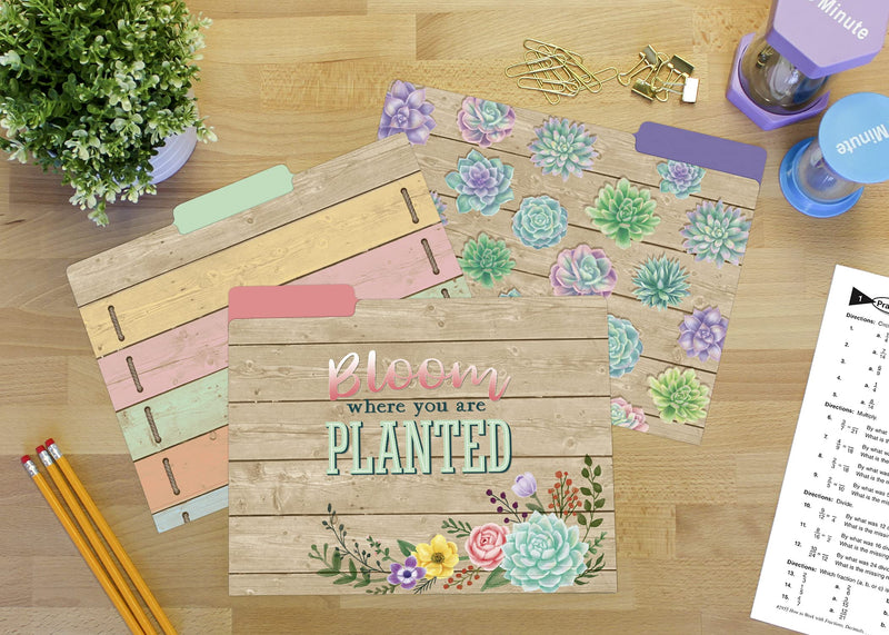 [Australia - AusPower] - Teacher Created Resources Rustic Bloom File Folders (TCR8539) 