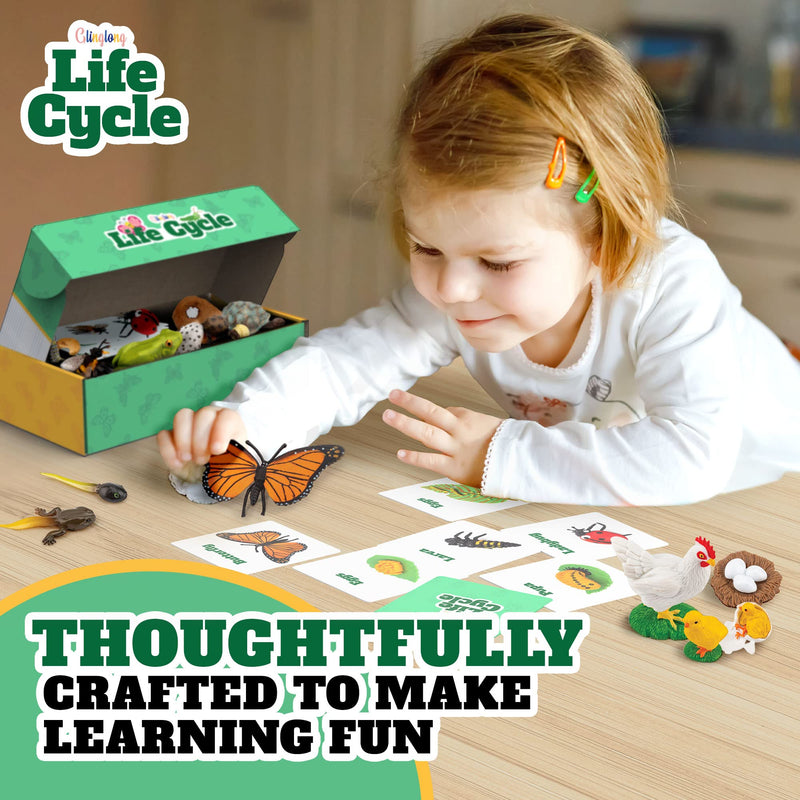 [Australia - AusPower] - GLINGLONG Life Cycle Kit Toy Montessori - Realistic Figurine Toys, Kids Figure Animal Match Set with Frog, Ladybug, & More - Includes 24-Piece Animals, Educational & Fun Matching Game for Children 3+ 