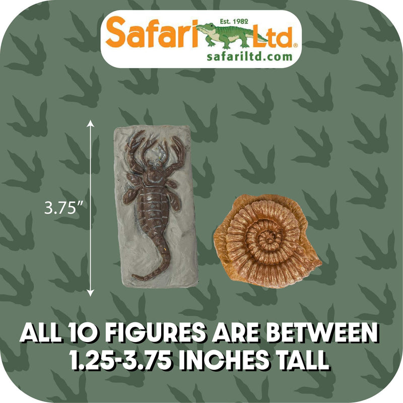 [Australia - AusPower] - Safari Ltd Ancient Fossils TOOB with 10 Toy Figurines Including Dino Footprint, Giant Crab, Ammonite, Raptor Claw, Fossilized Frog, Trilobite, T-Rex Tooth, Fossilized Fish, Dino Skin, and Sea Scorpion 