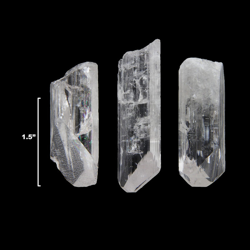 [Australia - AusPower] - Starborn Natural Danburite Crystals Loose Danburite XL 